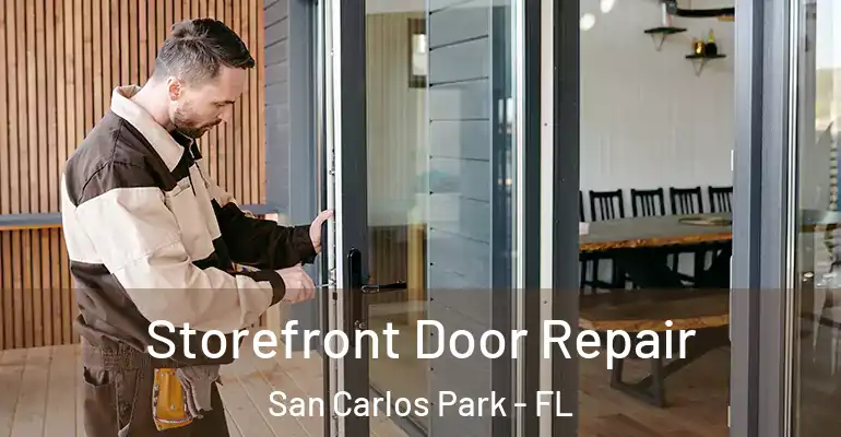  Storefront Door Repair San Carlos Park - FL