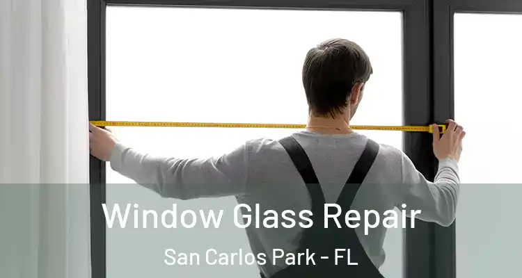  Window Glass Repair San Carlos Park - FL