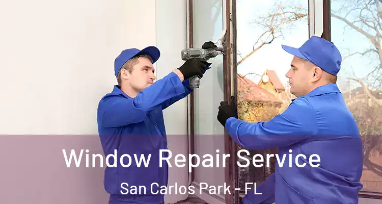  Window Repair Service San Carlos Park - FL