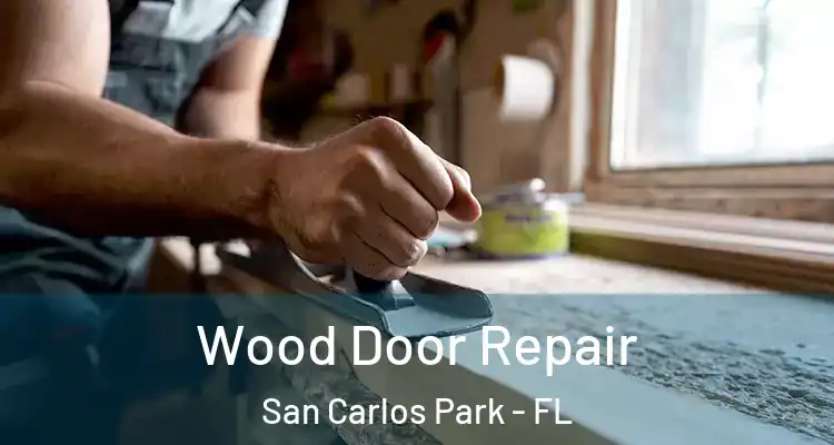  Wood Door Repair San Carlos Park - FL